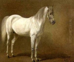 Portrait Of A Grey Stallion by Heinrich Lang
