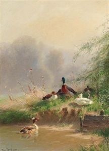 Family Of Ducks By The Pond
