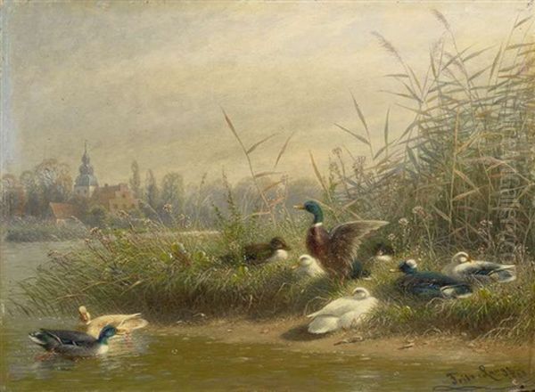 Wildenten Am Ufer - view 1