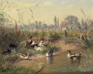 Enten Am Teich Enten Am Teich