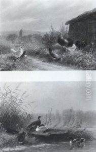 Hahn Und Hennen In Der Landschaft