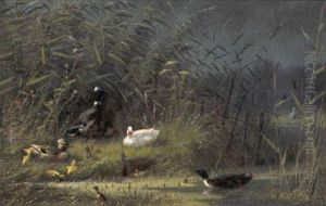 Eenden In Het Riet by Fritz Lange
