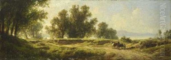 Baumlandschaft Am Ufer Eines Vorgebirgssees - view 1