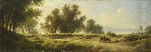 Baumlandschaft Am Ufer Eines Vorgebirgssees