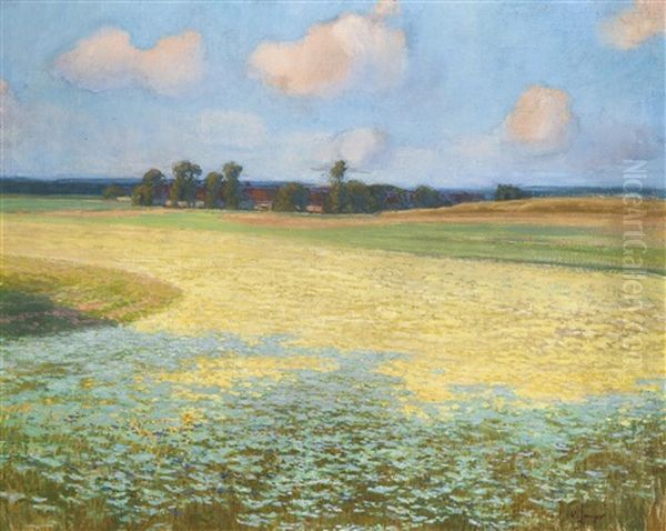 Summer Landscape - view 1