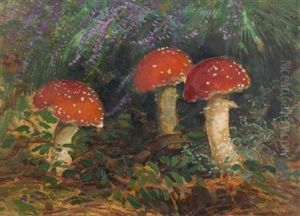 Red Fly Agarics by Karel Langer
