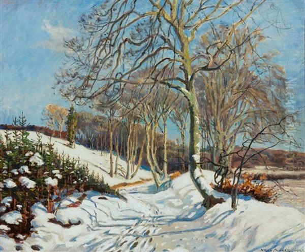 Besonnte Winterliche Landschaft In Danemark - view 1
