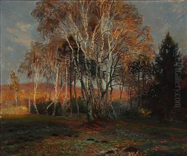 Autumn Day With Birch Trees In A Forest Glade - view 1