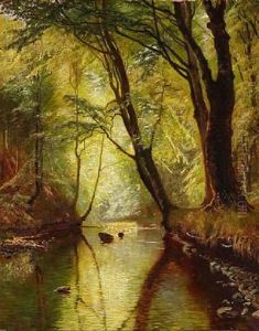 Forest Scape