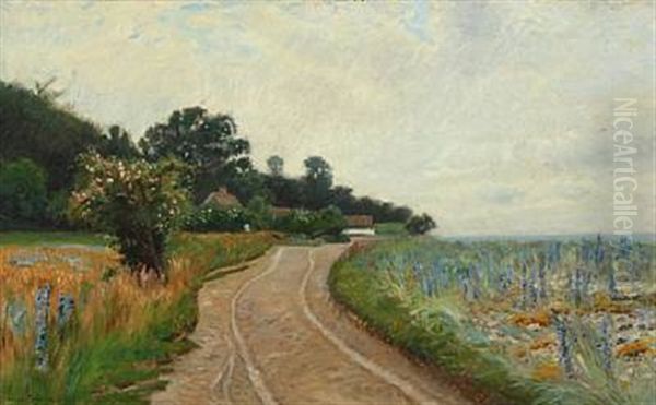 Landscape With Road And Flowering Fields - view 1