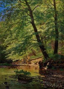 Ein Sommertag Im Wald