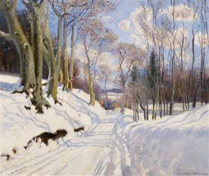 Sonniger Wintertag Im Wald Sonniger Wintertag Im Wald
