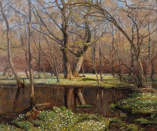 Woodland Pond - view 1