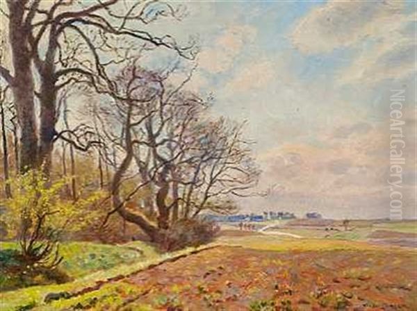 Udsigt Over Nordsjaellandske Marker Til En Landsby - view 1