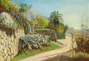 Sommerdag I Omegnen Af Menton