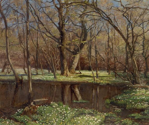 A Forest Landscape - view 1
