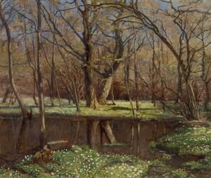 A Forest Landscape A Forest Landscape