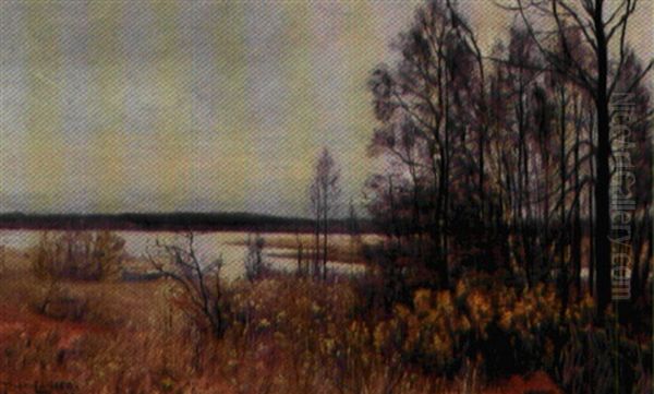Efterarslandskab - view 1