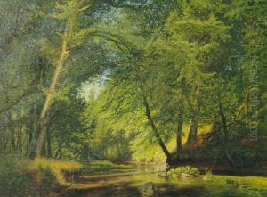 Wooded Summer Landscape