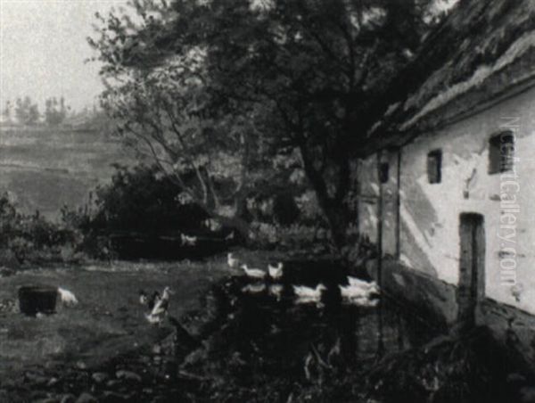 Enten Am Teich Vor Dem Gehoft - view 1
