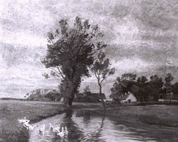 G,nse Am Dorfteich - view 1