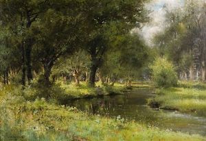 Vue Sur Le Bois Et Pecheur En Bordure De Riviere Vue Sur Le Bois Et Pecheur En Bordure De Riviere