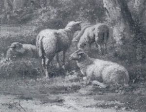 Ruhende Schafe In Landschaft