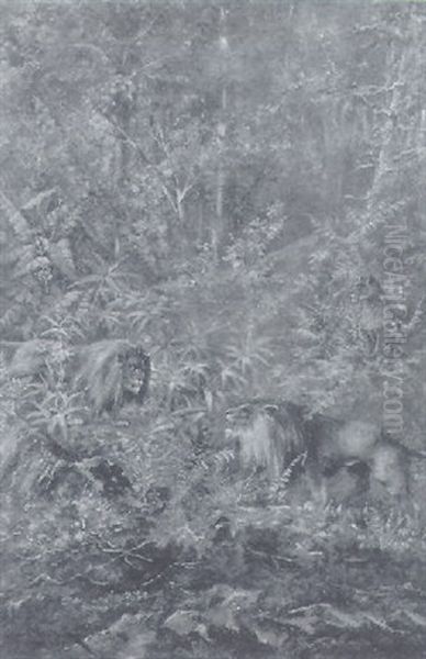 Lions In The Jungle - view 1