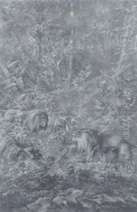 Lions In The Jungle by Henri Langerock