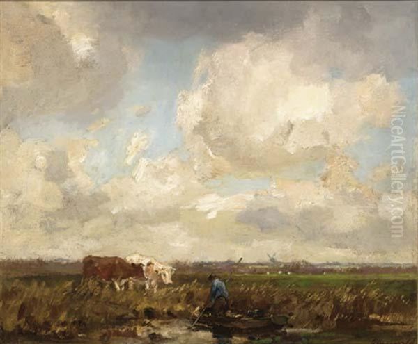 Cows In A Polder Landscape - view 1
