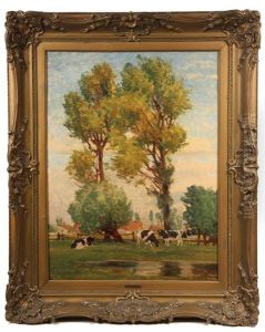 Cows In Pasture Time At Twin Trees