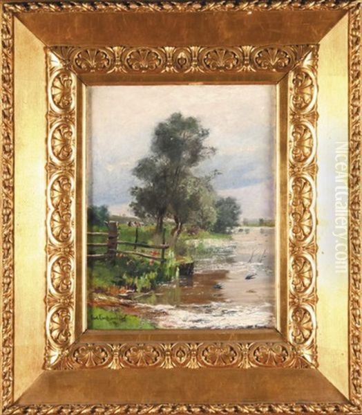 Jaskolki Nad Stawem - view 1