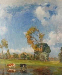 Cattle Watering On A Breezy Summer Day