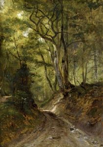 Sonnenbeschienener Waldweg by Dietrich Langko
