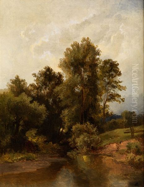 Waldlandschaft Am Flussufer - view 1