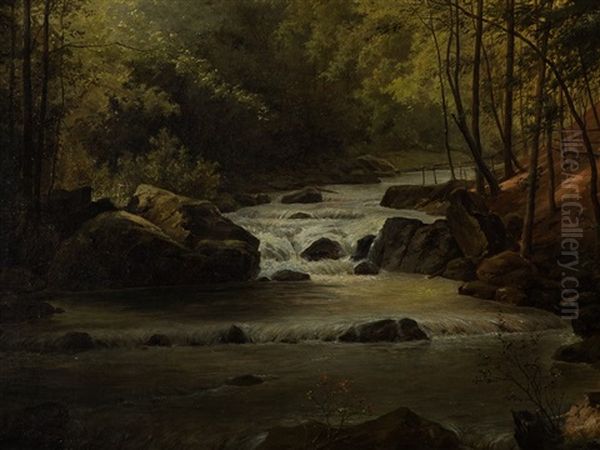 Forest Landscape With River - view 1