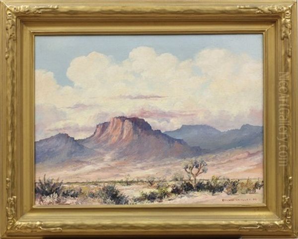 Joshua Tree Landscape - view 1