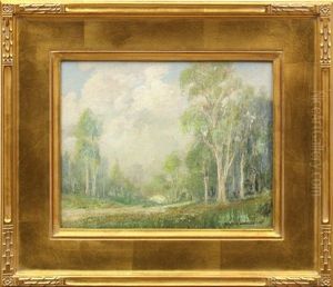 Eucalyptus Grove
