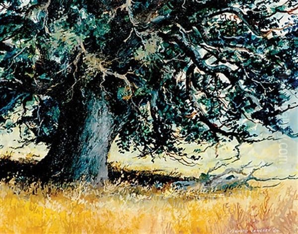 Ancient Tree - view 1
