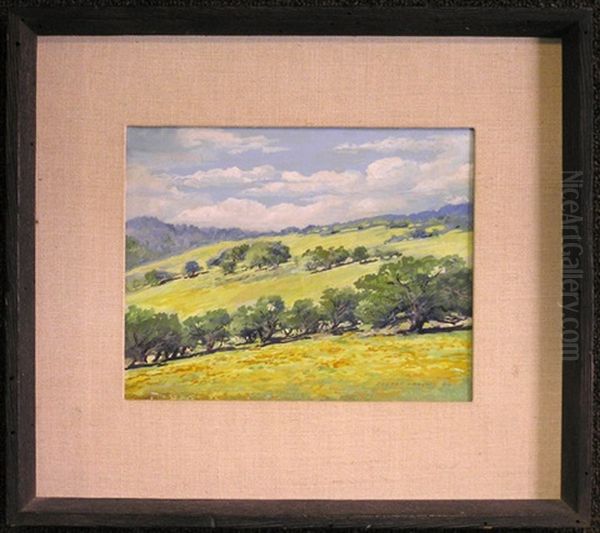 Valley Oaks - view 1