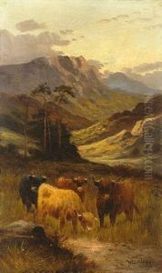 Schottische Gebirgslandschaft Mit Hochlandrindern Schottische Gebirgslandschaft Mit Hochlandrindern
