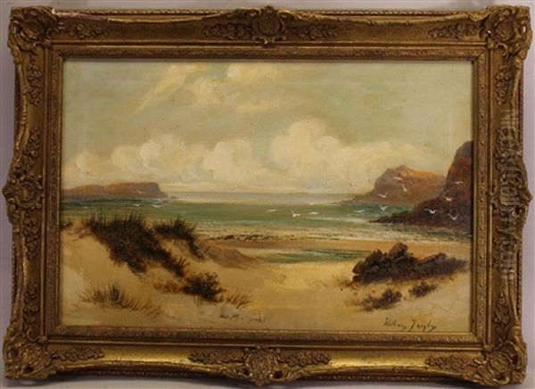 A Tranquil Beach Scene With Seagulls In Flight - view 1