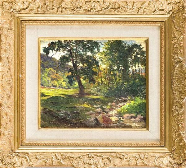 Baumbestandene Landschaft Mit Bachlauf - view 1