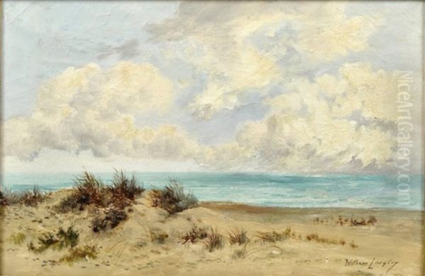 Kustenstreifen Mit Bewachsener Sanddune - view 1