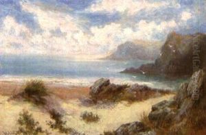 Englische Kustenlandschaft Mit Moven