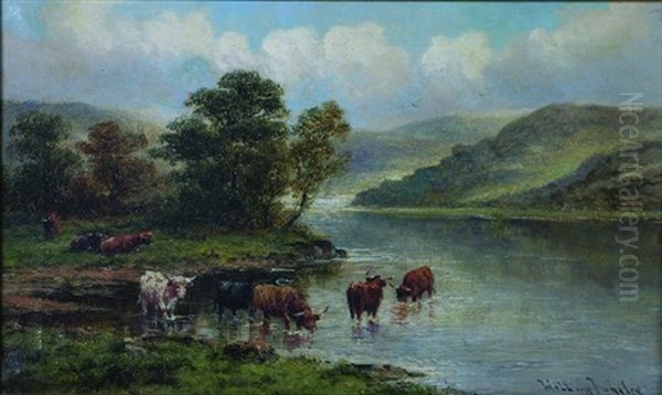 Highland Cattle (3 Works) - view 1