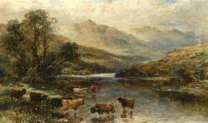 Cattle In A Stream