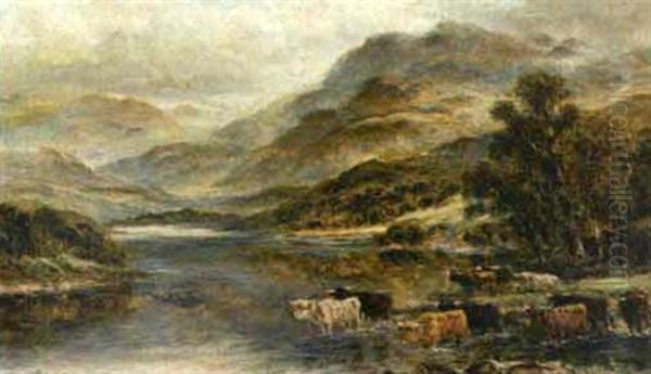 Cattle Crossing A Stream - view 1