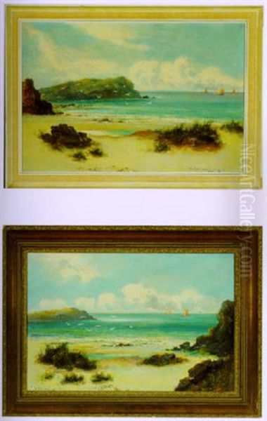 Coastal Seascape With Seagulls - view 1