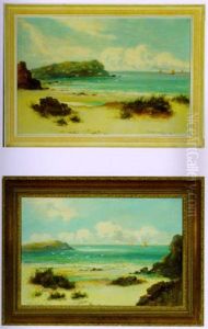 Coastal Seascape With Seagulls